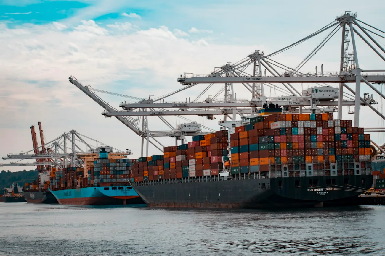 Container and bulk cargo terminal with gantry cranes